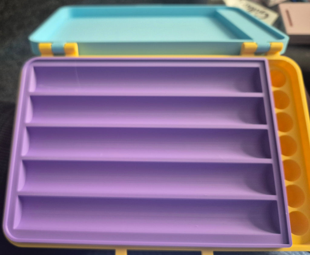 Personalised 3D printed insulin storage case